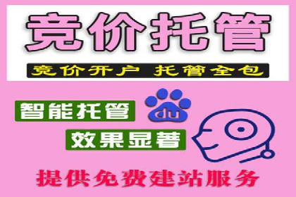 谷歌SEM广告投放全流程：从策划到执行的成功经验分享